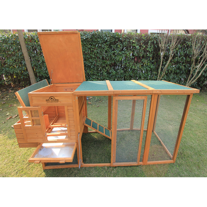 Pets Imperial® Chicken Coops Nesting Boxes & Reviews Wayfair